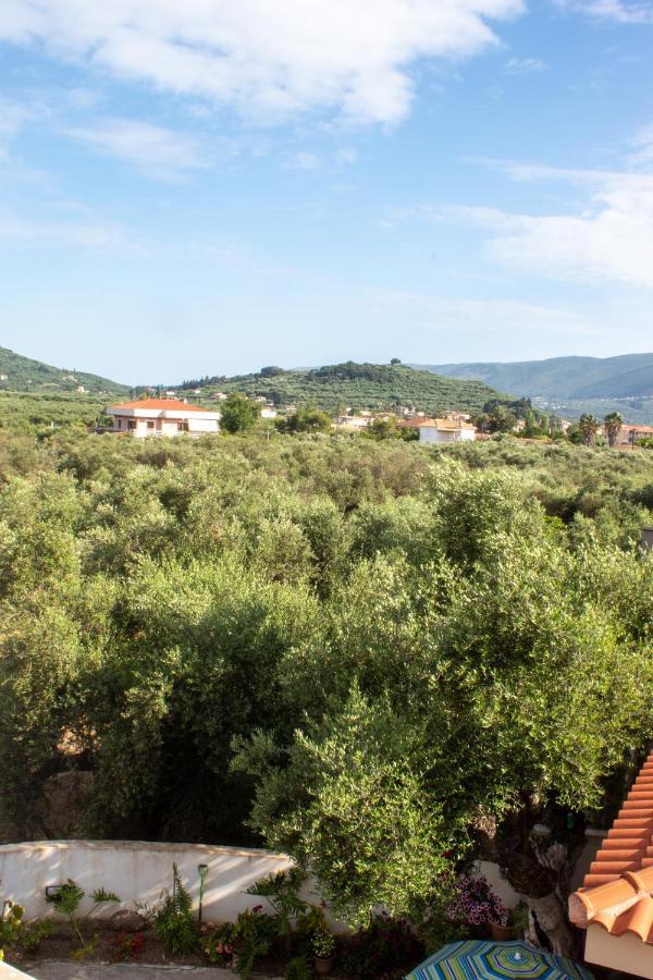 Kali 's Alykanas (Zakynthos)